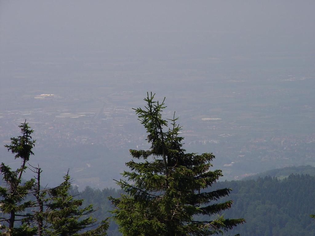 dsc00739