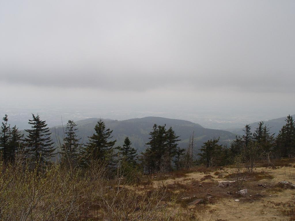DSC01707