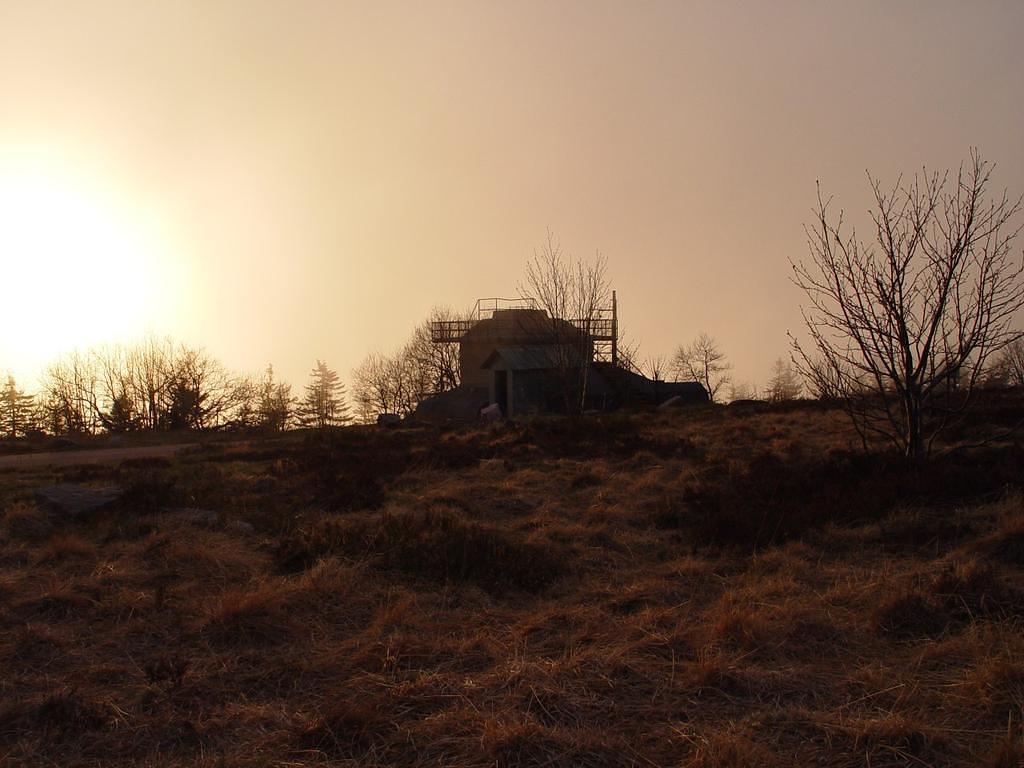 DSC01718